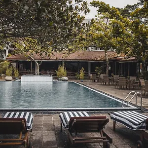 5* Resort Tree Of Life Nature